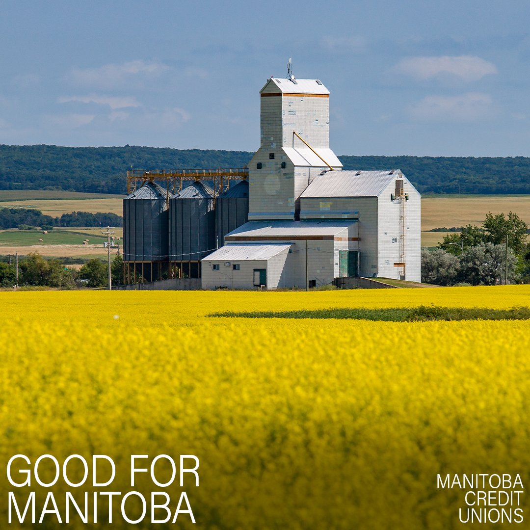 A homegrown, Manitoba-first approach to banking. 
- 
#manitoba #creditunion #cooperative #principledbanking #principled #banklocal #local #banking #shoplocal #finance #mortgage #loan #lending #financial #personalfinance #manitoban #goals #dreams #economy #economics