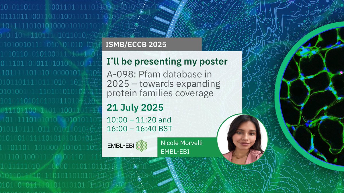 InterProDB's tweet image. 🧬 The InterPro/Pfam team will be presenting at #ISMB2025 next week in Liverpool!
🎤 Multiple talks &amp;amp; 📊 posters on protein analysis &amp;amp; classification