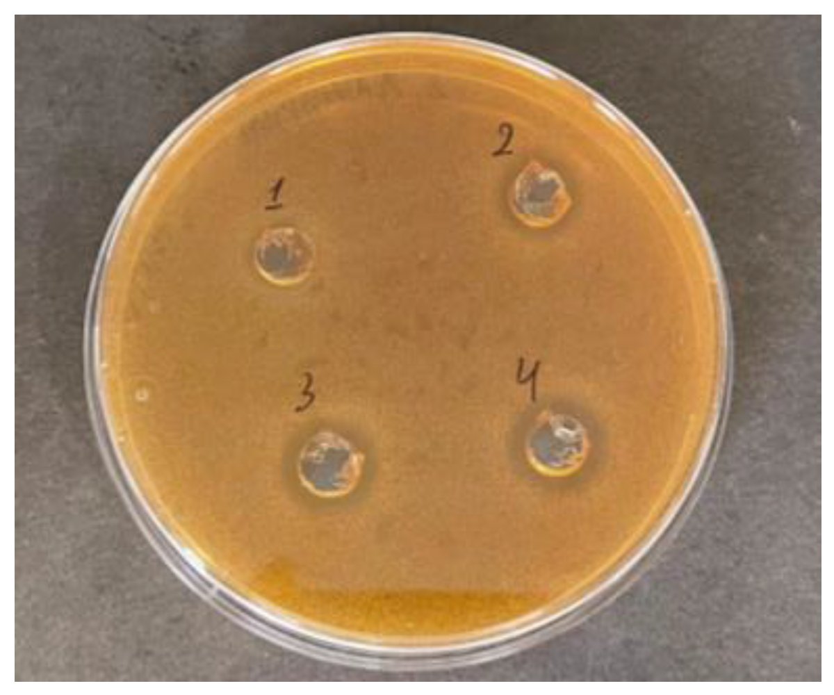 #mdpibeverages Read the Editor's Choice Paper! 
Preliminary Characterisation of Metschnikowia pulcherrima to Be Used as a Starter Culture in Red Winemaking
brnw.ch/21wUfyM
<a href="/MDPIOpenAccess/">MDPI</a> <a href="/MDPIbio/">MDPI BiologyLifeSci</a> <a href="/Scilit_/">Scilit</a>
#beverages #drinks #NonSaccharomyces #MetschnikowiaPulcherrima
