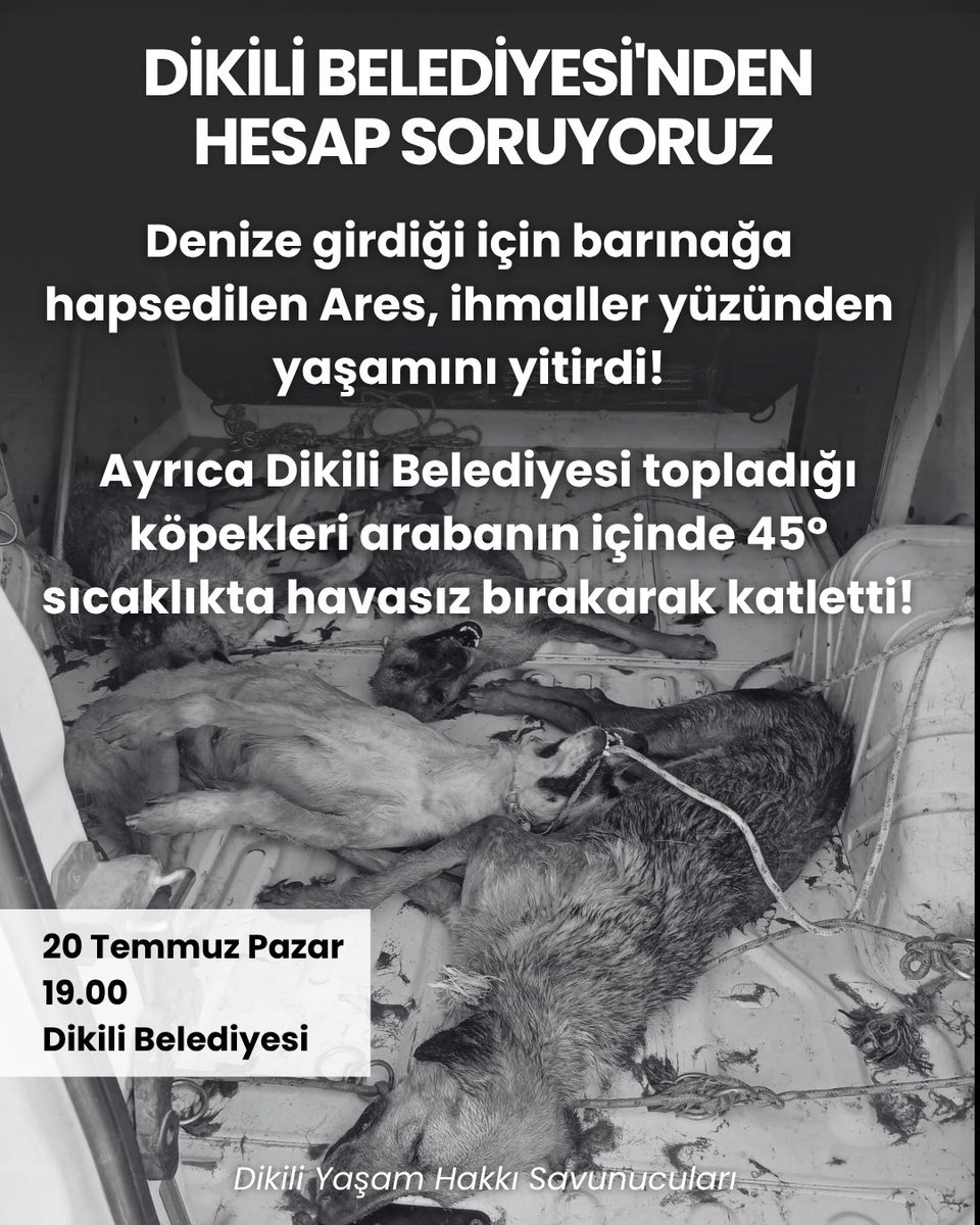 İzmir Yaşam Hakkı Savunucuları #AYMYasayıİptalEt (@izmiryasamhakki) on Twitter photo Pazar günü herkesi <a href="/dikilibelediye/">Dikili Belediyesi</a> önüne, Ares'in ve nefessiz bırakılarak katledilen köpeklerin hesabını sormaya çağırıyoruz! Pazar günü herkesi <a href="/dikilibelediye/">Dikili Belediyesi</a> önüne, Ares'in ve nefessiz bırakılarak katledilen köpeklerin hesabını sormaya çağırıyoruz!