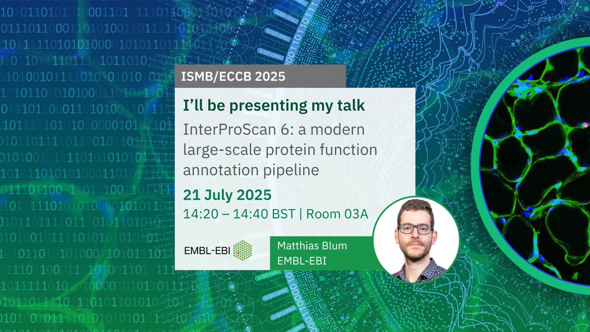 InterProDB's tweet image. 🧬 The InterPro/Pfam team will be presenting at #ISMB2025 next week in Liverpool!
🎤 Multiple talks &amp;amp; 📊 posters on protein analysis &amp;amp; classification