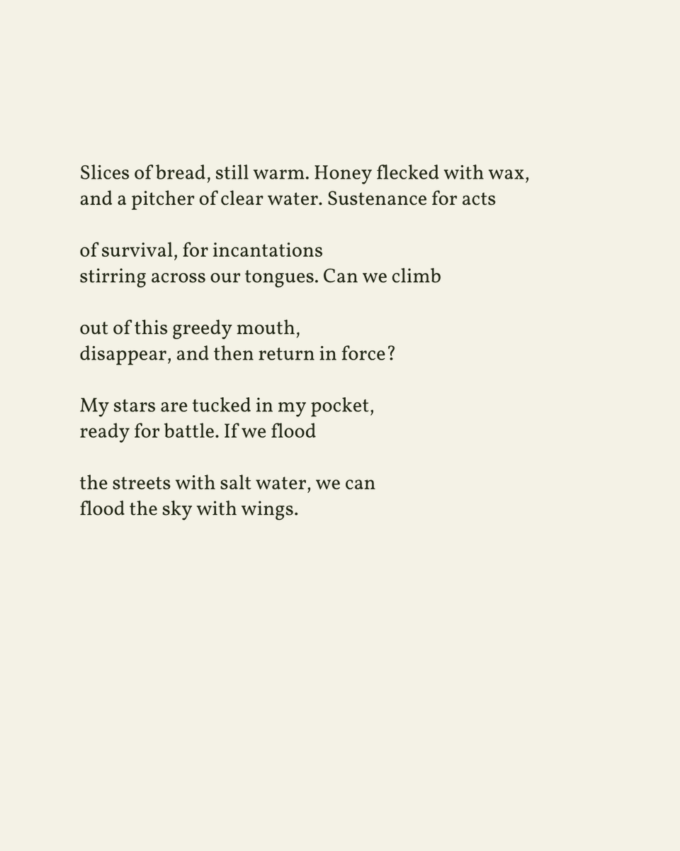 readalittlepoem's tweet image. “I think we all have the power / to do what we must to survive. / One day, I hope to set a table, invite you / to draw up a chair.”
— Tamiko Beyer
.
.
.
This poem appeared in Last Days by Tamiko Beyer, published by Alice James Books, 2021. Shared here with deep gratitude.