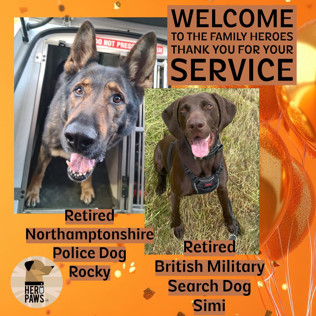 Heropawsuk's tweet image. Here's a couple of faces to brighten up your Friday ☺️
Welcome to the family retired Northamptonshire Police dog Rocky & retired British Military Search dog Simi
We're excited to see what you've been up to life after service and all the adventures ahead of you
We thank you for…