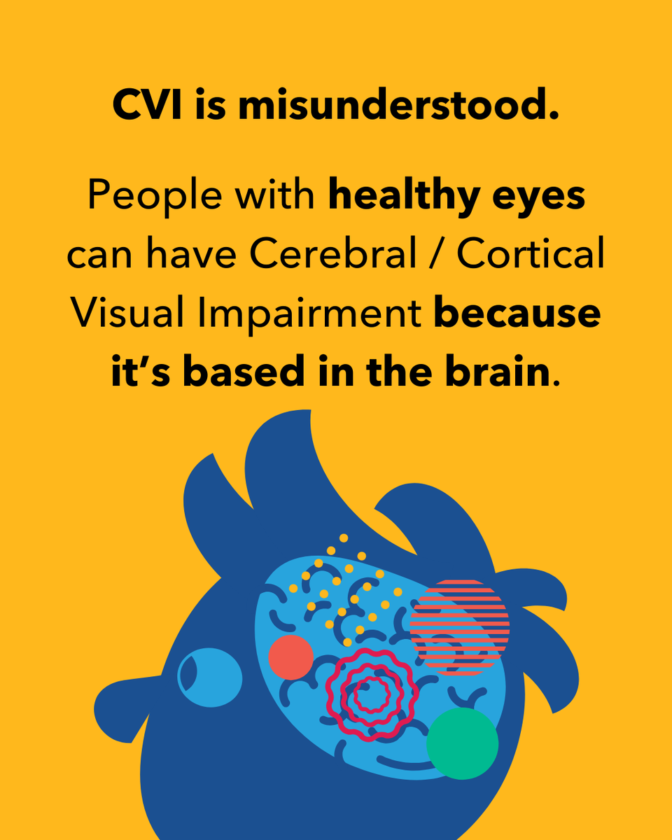PerkinsVision's tweet image. Imagine looking through healthy eyes, but your brain can’t make sense of what you see. That’s what life is like for many kids with the leading cause of childhood blindness. But with more awareness, early diagnosis, and trained educators, we can change lives for kids with #CVI.