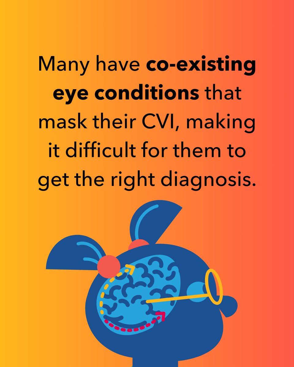 PerkinsVision's tweet image. Imagine looking through healthy eyes, but your brain can’t make sense of what you see. That’s what life is like for many kids with the leading cause of childhood blindness. But with more awareness, early diagnosis, and trained educators, we can change lives for kids with #CVI.