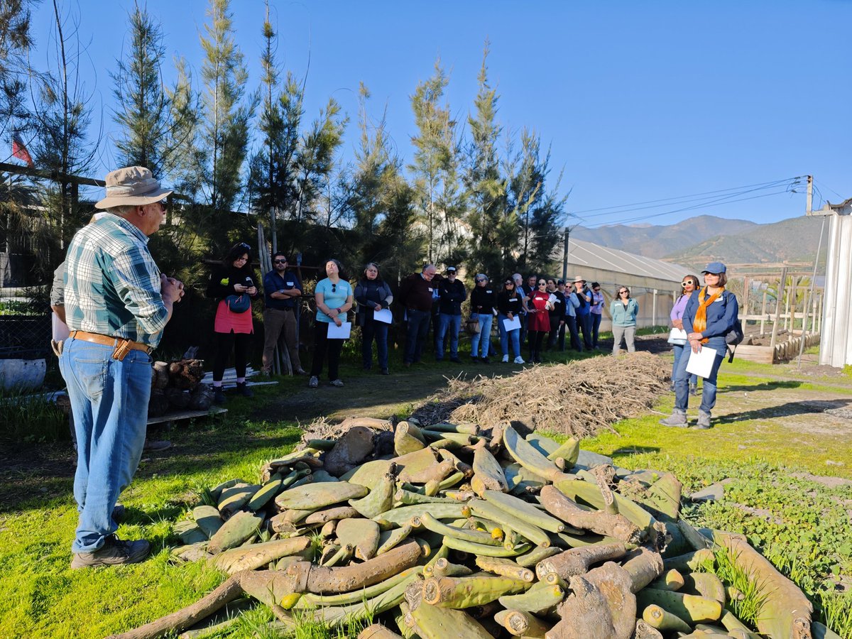 🌱 #Extensionismo | Este jueves vivimos una jornada llena de conocimientos, innovación y sustentabilidad en el Taller Teórico-Práctico "Promotores para el Agro del Futuro" impulsado por <a href="/INDAPValparaiso/">INDAP Valparaíso</a> y <a href="/Perfruts/">Perfruts | Fruticultura Sustentable</a>

#FruticulturaSustentable #Sostenibilidad