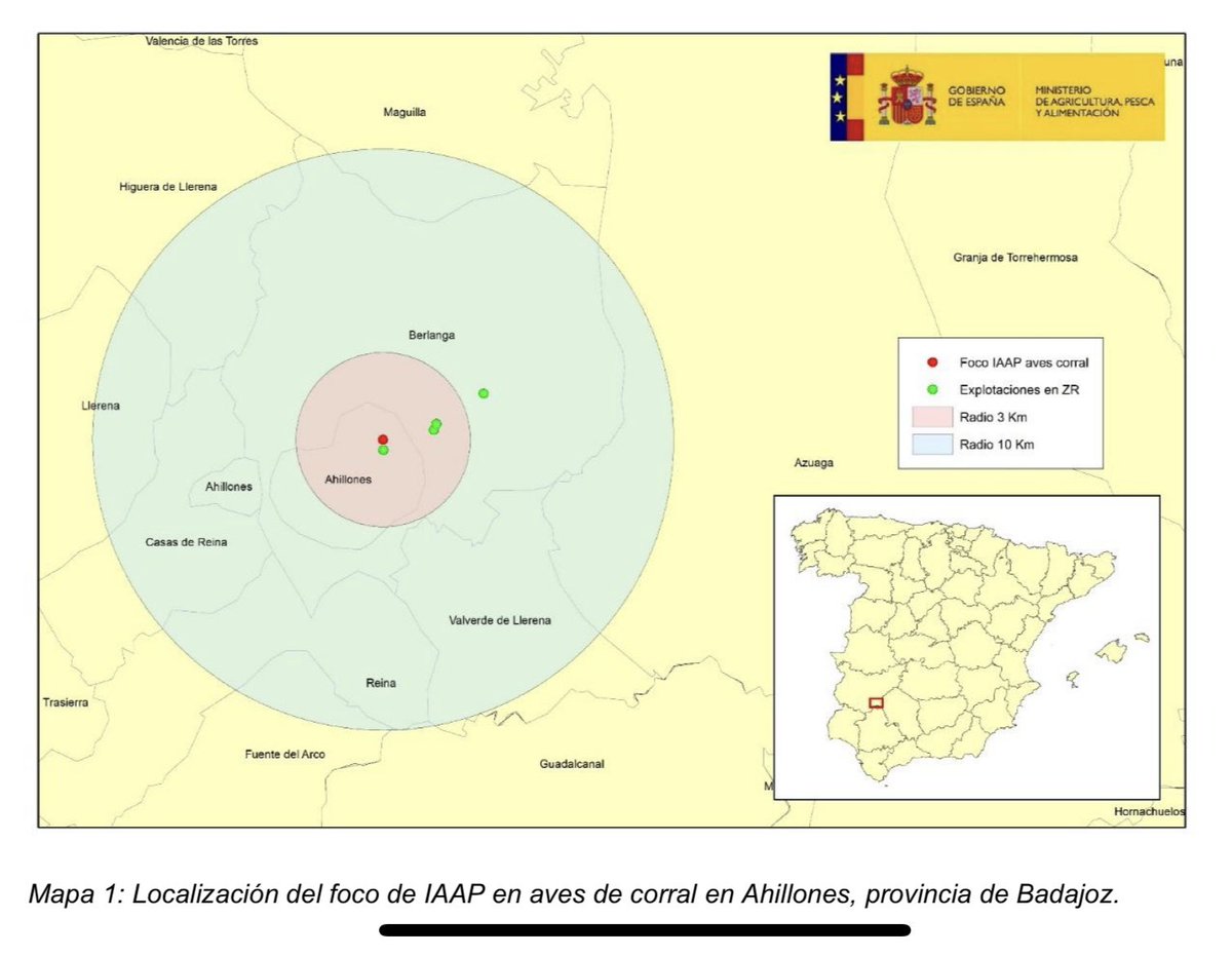 Después de más de dos años sin casos de #GripeAviar en aves de corral… España abandona el estado de “libre de la enfermedad”. Se ha declarado un brote en una granja de pavos de Badajoz. Los brotes en verano antes eran muy raros, ya no. 
mapa.gob.es/dam/mapa/conte…