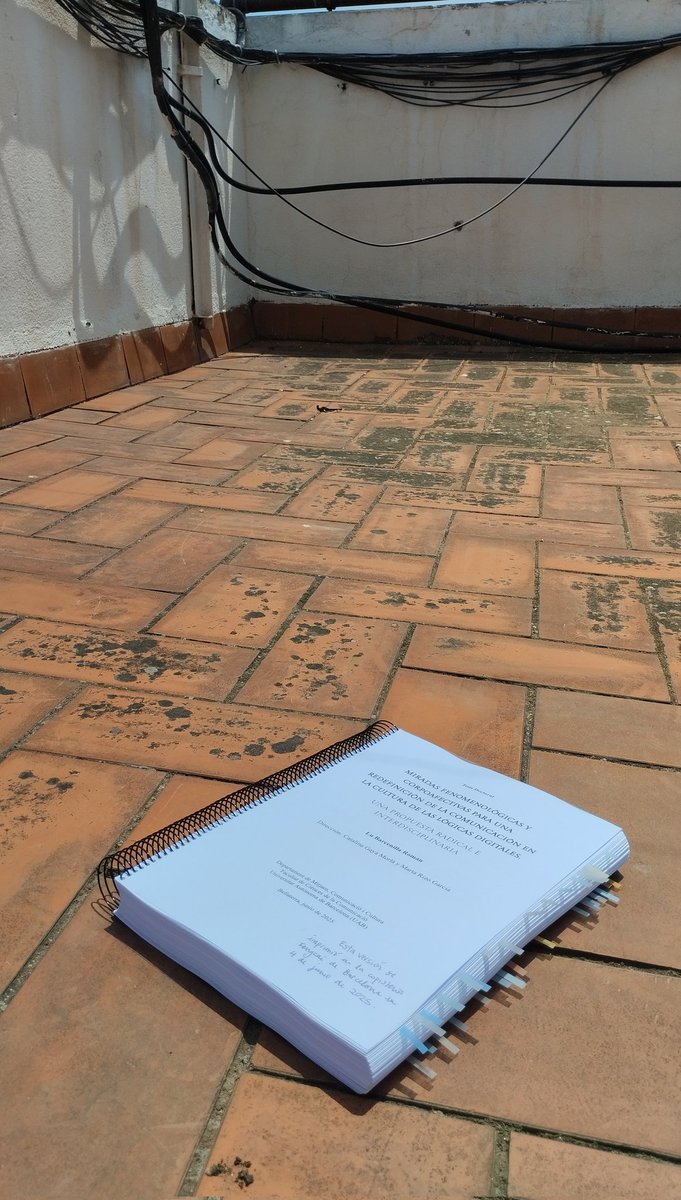 lu barcenilla tweet media