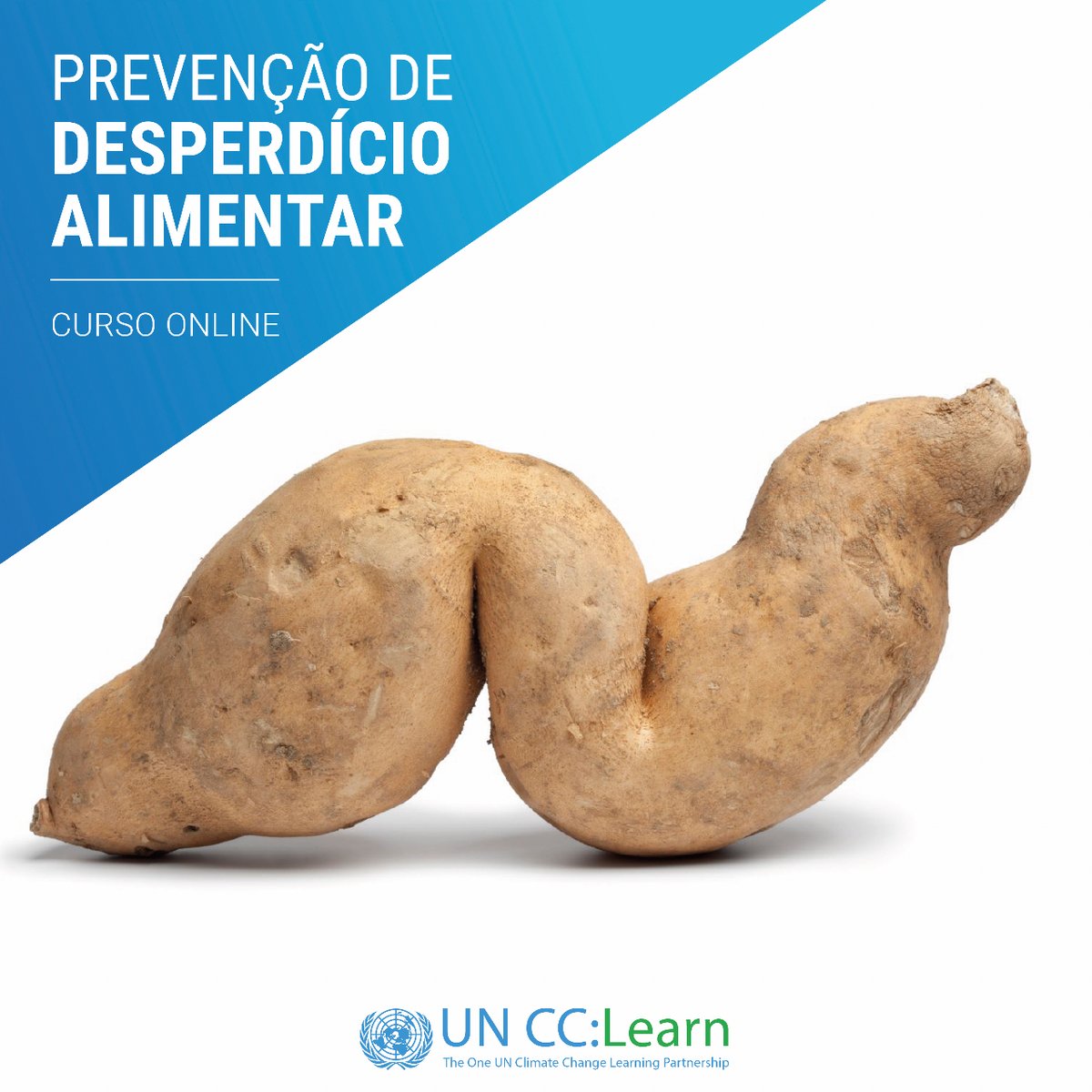 Reducing #FoodWaste leads to:

☑️ Better use of natural resources 🌳💦
☑️ Economic benefits (e.g., increased purchasing power)
☑️ Environmental benefits (e.g., reduced emissions from food production)

Learn more in English or Portuguese! ➡️ unccelearn.org/course/view.ph…