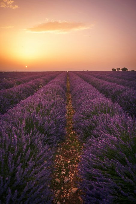 Photography by Mylène Haudebourg