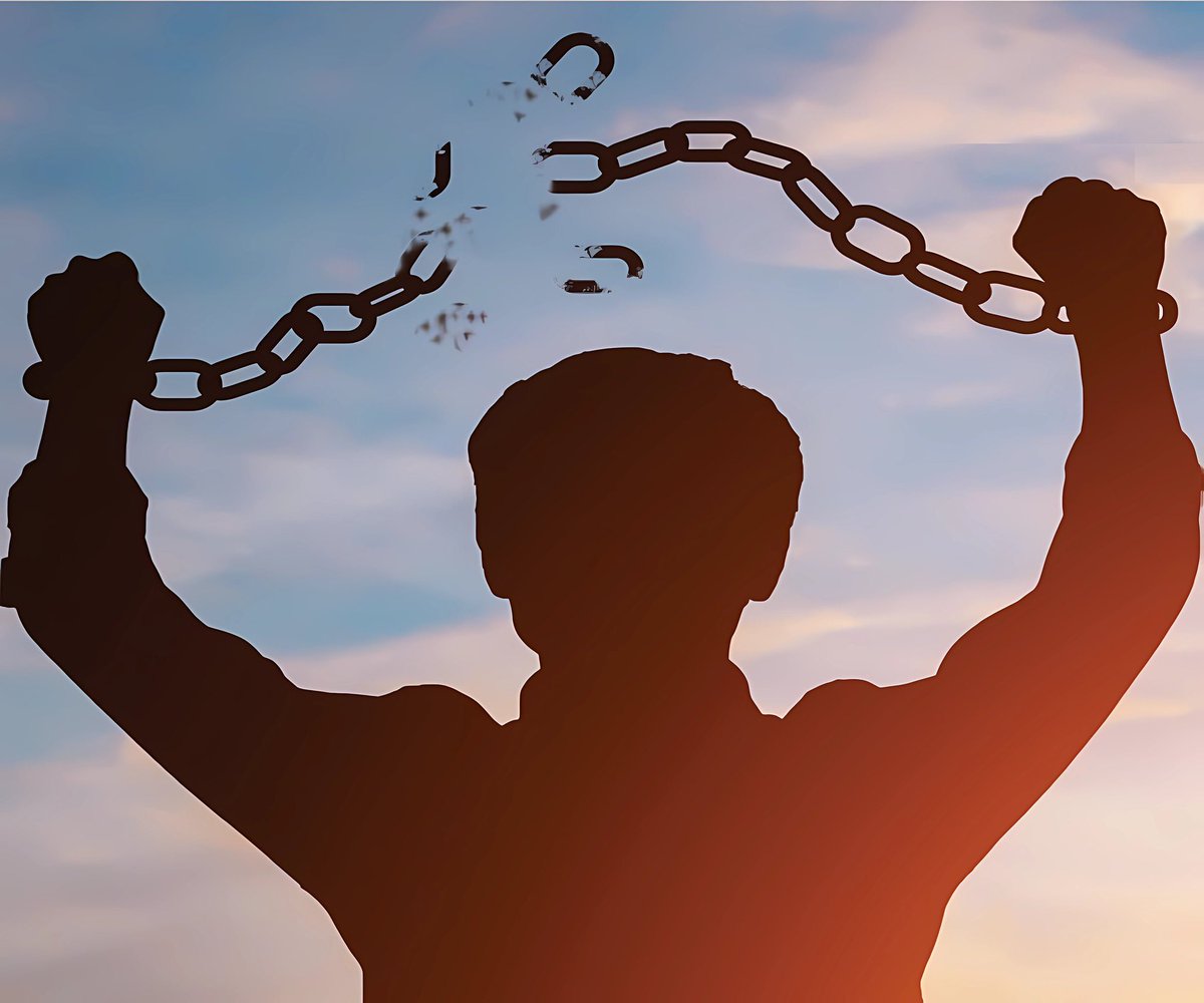 user name toshi tweet media