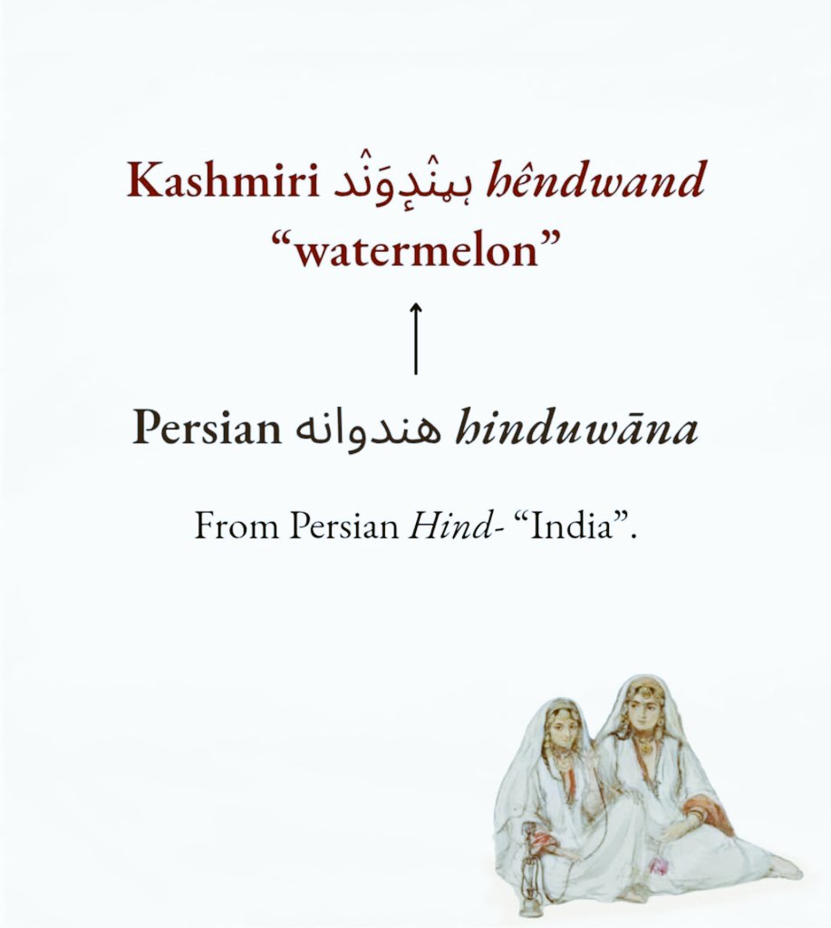 kshmirmemories's tweet photo. Few Arabic and Persian words in kashmiri https://t.co/AjF7OBfwZh