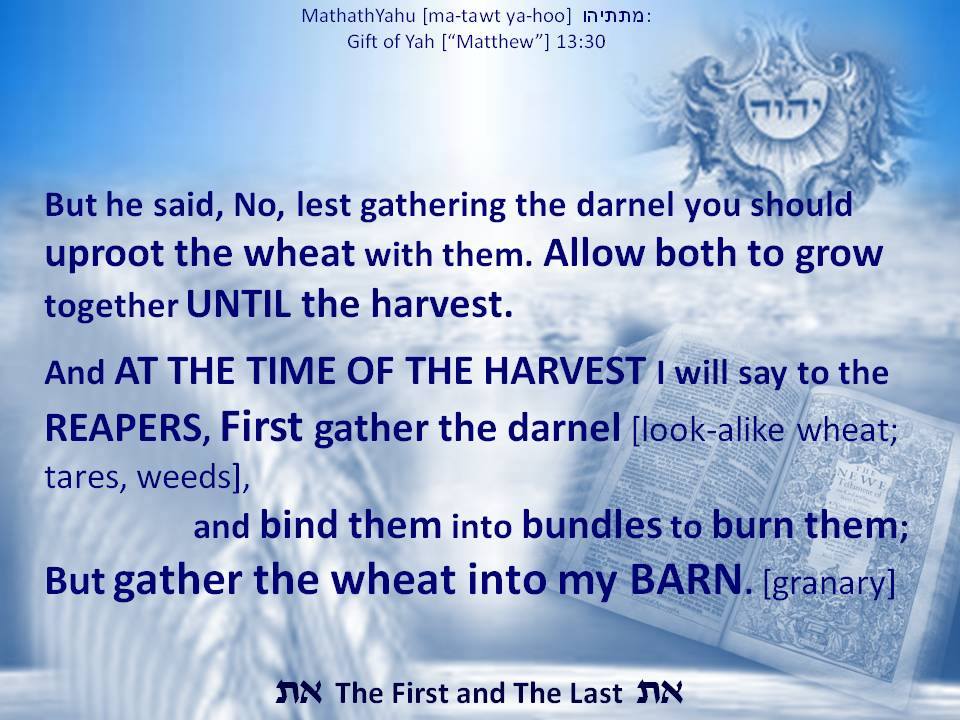 ThundersSeven's tweet image. Deu 23:7 You shall not abhor an #Adamite; for he is your brother: you shall not abhor an #Egyptian; because you were a #stranger in his land (the Earth)
Due to the continued disobedience the chance to be #saved #InThatDay from before the face of evil was sent out to ALL nations