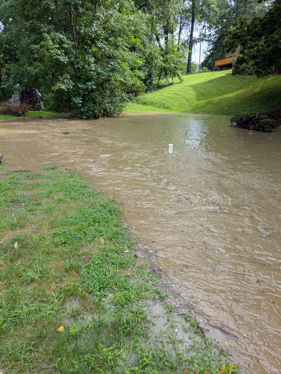 Jenn Schropp (@endo_jenn) on Twitter photo Two days ago we got flooded... Again! Luckily we've done a lot of work around the house to help protect us. Btw this is just a small stream which turns into not so small. Our township doesn't care that this happens often. 🤷🏼♀️
<a href="/MeghanKDKA/">MEGHAN SCHILLER</a> #flooding #climatechange #science Two days ago we got flooded... Again! Luckily we've done a lot of work around the house to help protect us. Btw this is just a small stream which turns into not so small. Our township doesn't care that this happens often. 🤷🏼♀️
<a href="/MeghanKDKA/">MEGHAN SCHILLER</a> #flooding #climatechange #science