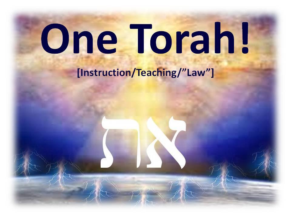 ThundersSeven's tweet image. Deu 23:7 You shall not abhor an #Adamite; for he is your brother: you shall not abhor an #Egyptian; because you were a #stranger in his land (the Earth)
Due to the continued disobedience the chance to be #saved #InThatDay from before the face of evil was sent out to ALL nations