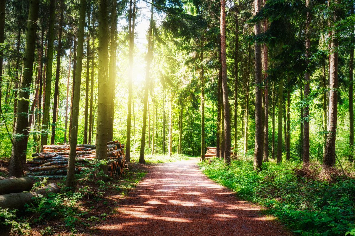 Facing metastatic melanoma, Joanne Kalesnik transformed her journey and her spirit by reframing her perspective, embracing resilience, and finding balance. Learn more: bit.ly/469pjIF

#CancerJourney #Resilience #Melanoma #LivingWithCancer #MindBodyHealing