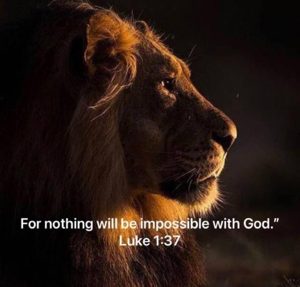 Morning Everyone.  ❤️🙏. For Nothing Will Be impossible Without God.  Luke 1:37