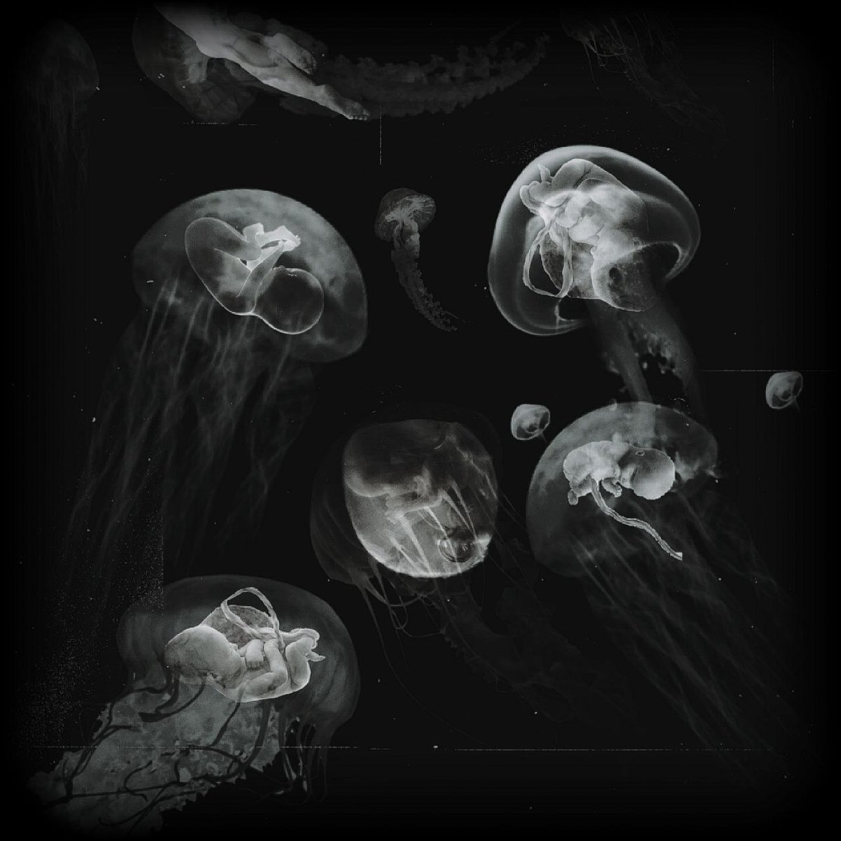 Story of life

1/1
110 tez 

objkt.com/tokens/KT1W26b…