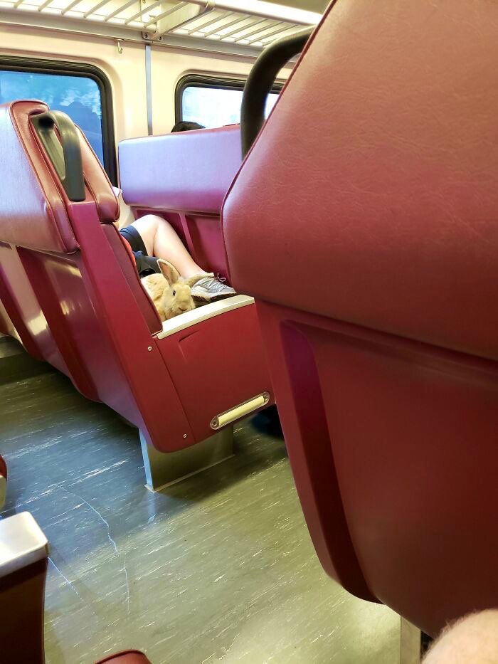 The chances of being killed by a rabbit on a train are low, but never zero.