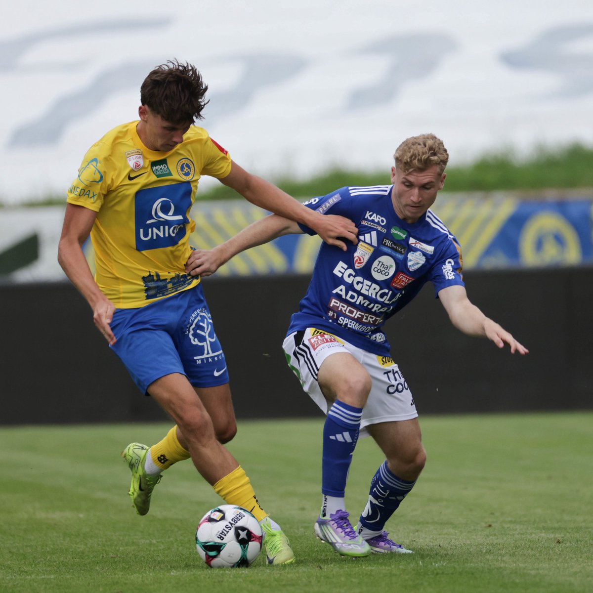 tsv_hartberg's tweet image. Die Generalprobe gegen die Vienna endete 2:2 (0:1).
Dominik Prokop traf in der 63. Minute per Elfmeter zum zwischenzeitlichen Ausgleich (1:1). Elias Havel sorgte in der Schlussphase (90. + 3) nach einem Kainz-Freistoß per Kopf für den 2:2-Endstand.