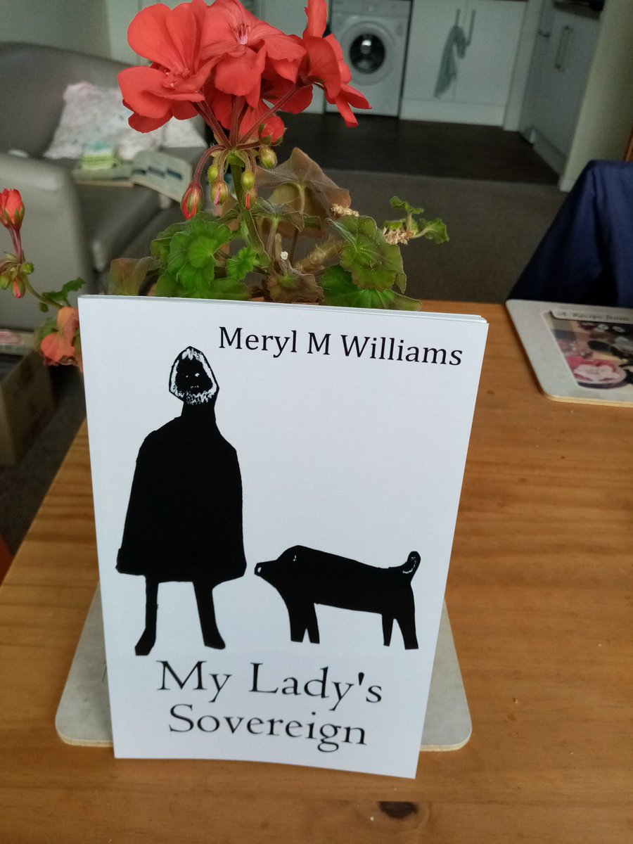 MerylW10's tweet image. An epic fantasy adventure set in the dark ages at the heart of Woden’s Dyke, My Lady's Sovereign is a play on words - the Monarch and the golden coin. Setting sail in the path of legendary St Brendan where will our resourceful heroine end up?