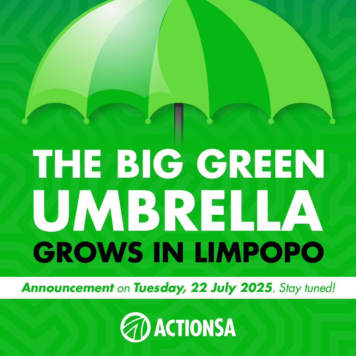 ActionSA_LP's tweet image. This upcoming Tuesday in Vhembe Region, join @Action4SA President @HermanMashaba, Deputy President @Mbahare_Kekana, and Provincial Chairperson @VictorMothemela for an announcement on the Green Umbrella Campaign expansion in Limpopo Province.