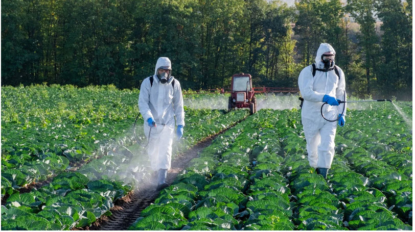 TrustwellLaw's tweet image. From @EHNewsroom Sen. Cory Booker’s proposed Pesticide Injury Accountability Act would let people sue pesticide manufacturers in federal court — even if state laws block them from doing so.
#Pesticides #Bayer #Syngenta #paraquat #cancer #glyphosate
shorturl.at/Cjs6u