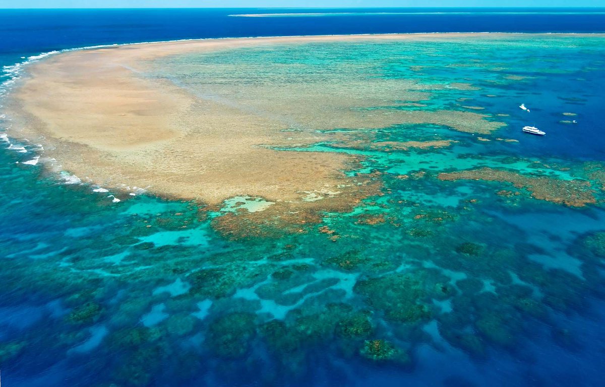 treemissions's tweet image. The Great Barrier Reef, visible from space, is not just the largest coral reef system but also supports over 1,500 species of fish and 400 types of coral! 🐠🌊 #NatureMarvels #GreatBarrierReef