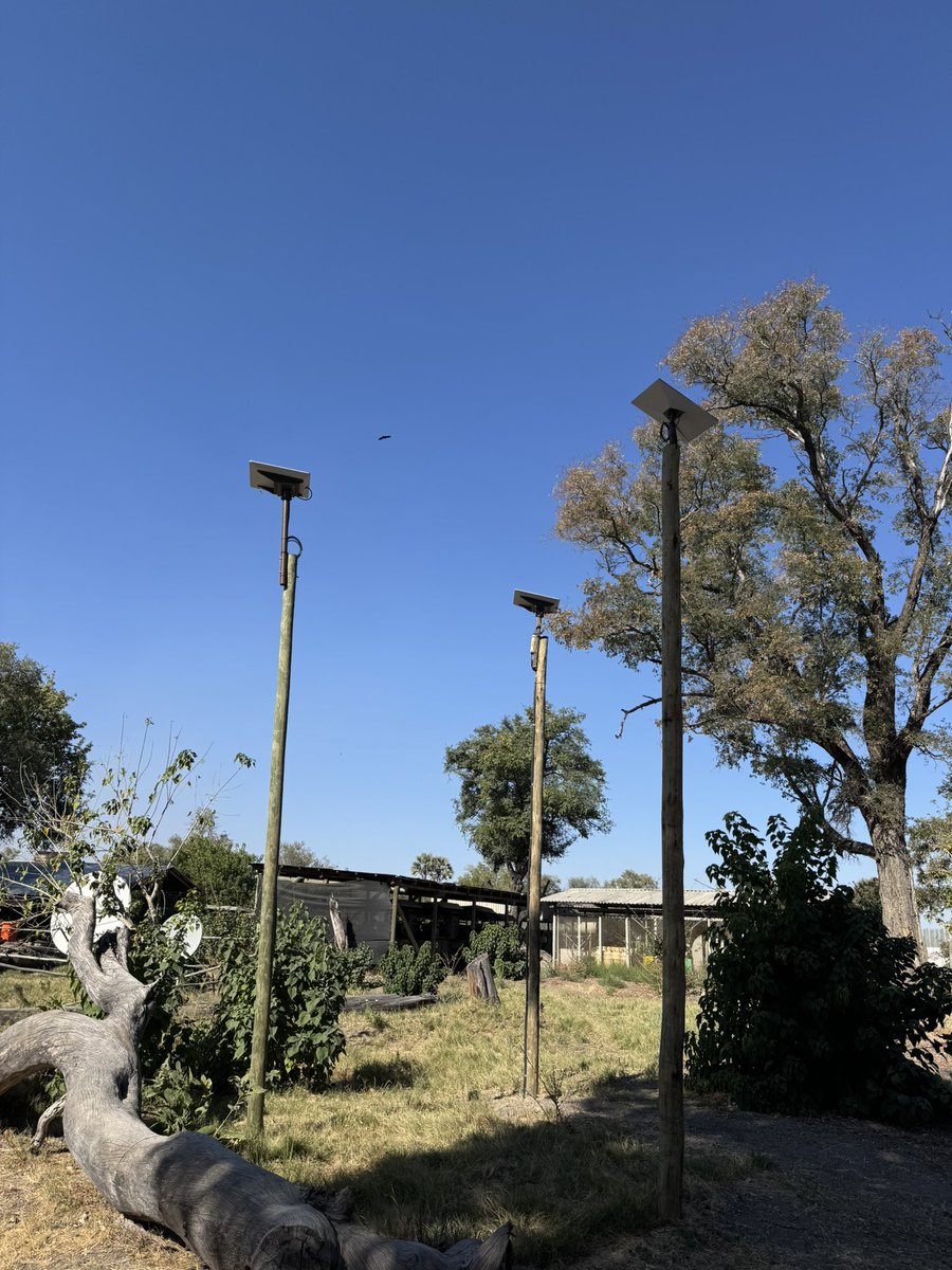 ajventerx's tweet image. @Starlink 
Arrived in the Okavango Delta Botswana 🇧🇼 
(In the middle of nowhere)
At the lodge the wifi 🛜 is super fast!
I ask management how is it possible…
They go show me…
STARLINK!!!
Guests and Employees are so happy!
@elonmusk