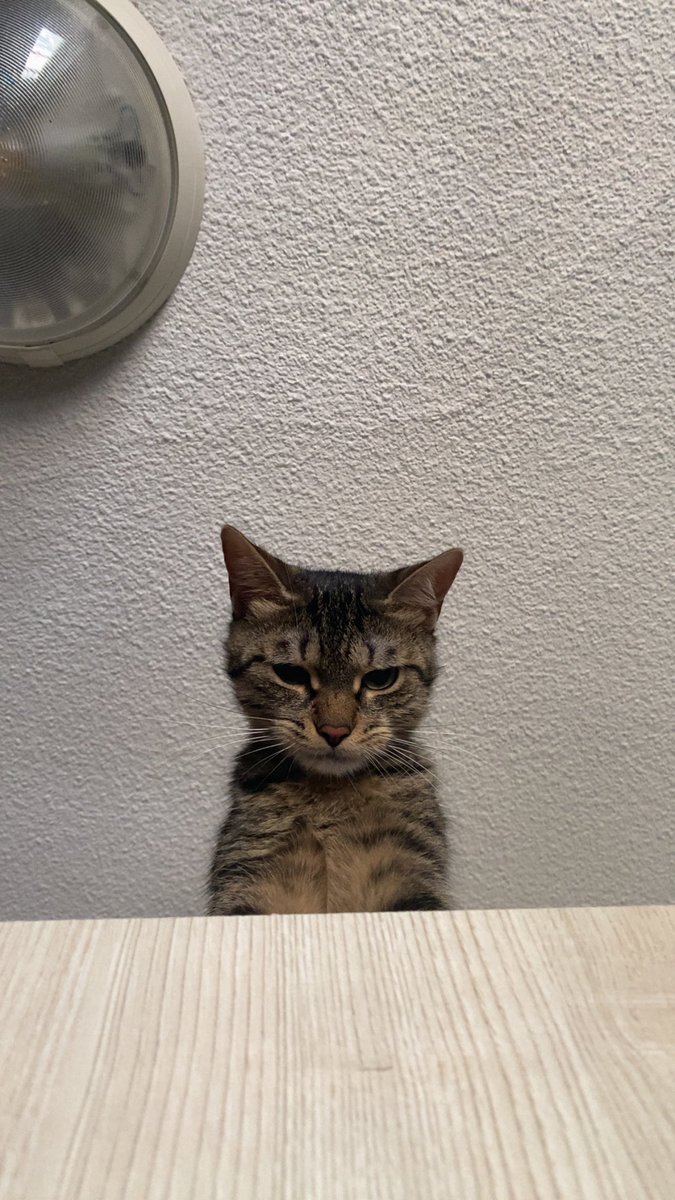 lokimimii's tweet image. oui tu m'as fait mal pas la peine de prendre cet air monsieur
