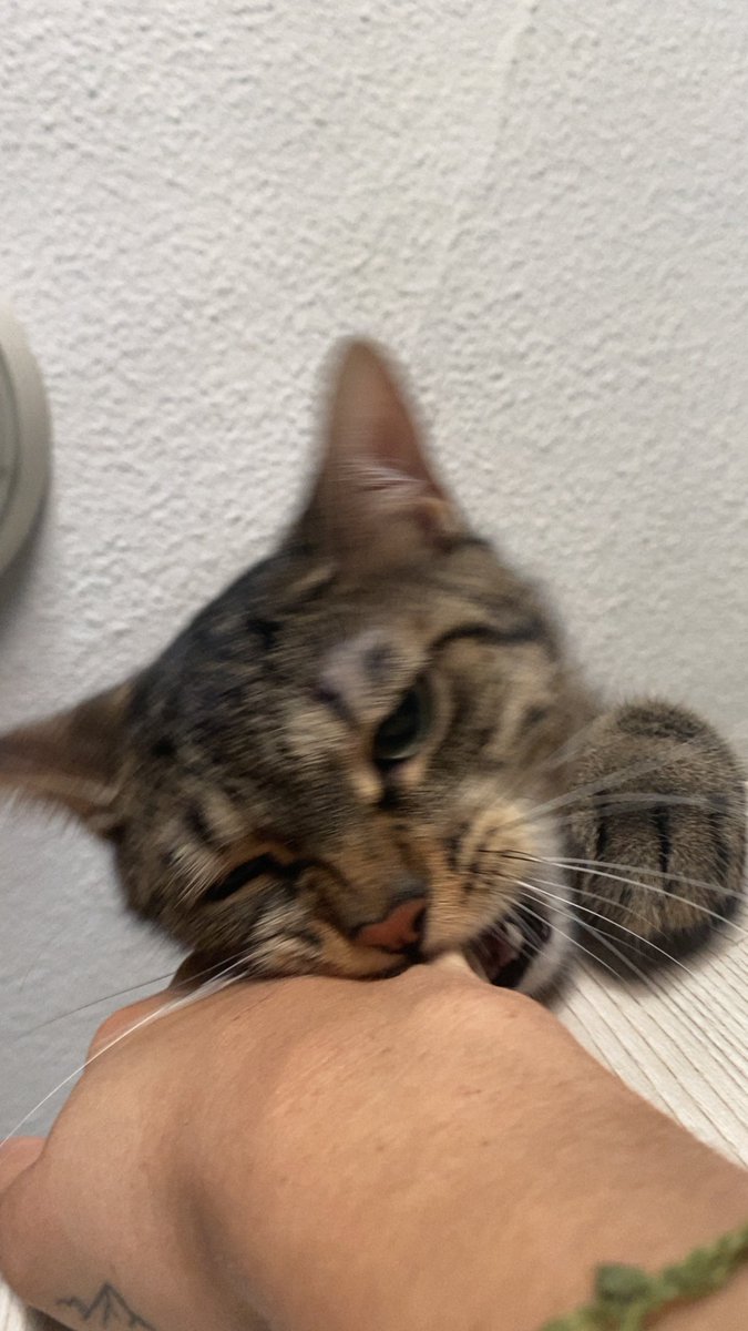 lokimimii's tweet image. oui tu m'as fait mal pas la peine de prendre cet air monsieur