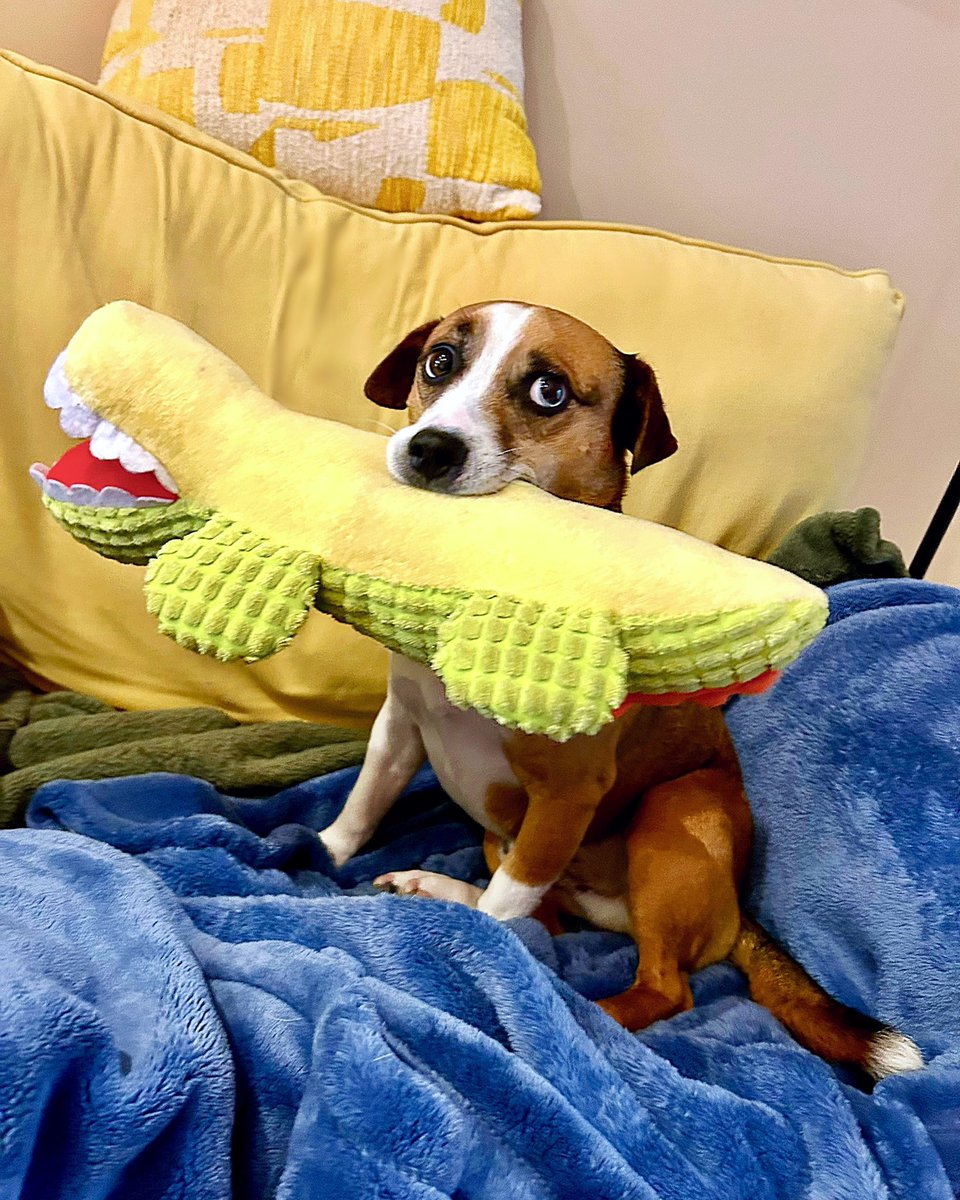 Rick Hammerly tweet media