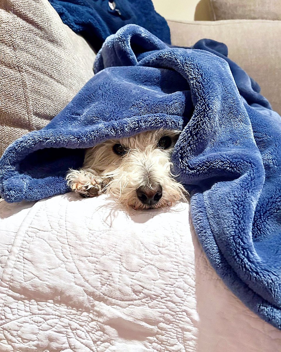 Rick Hammerly tweet media