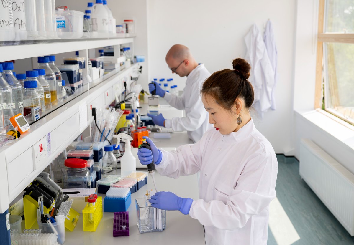 UofGSCMH's tweet image. π PhD Studentship Opportunity β Apply by 4th August!
Join Dr Lorraine Work, Dr Alan Cameron, and Dr Aisling McFall in research on extracellular vesicles as mediators and modulators of ischaemic stroke.
π Apply here: findaphd.com/phds/project/eβ¦