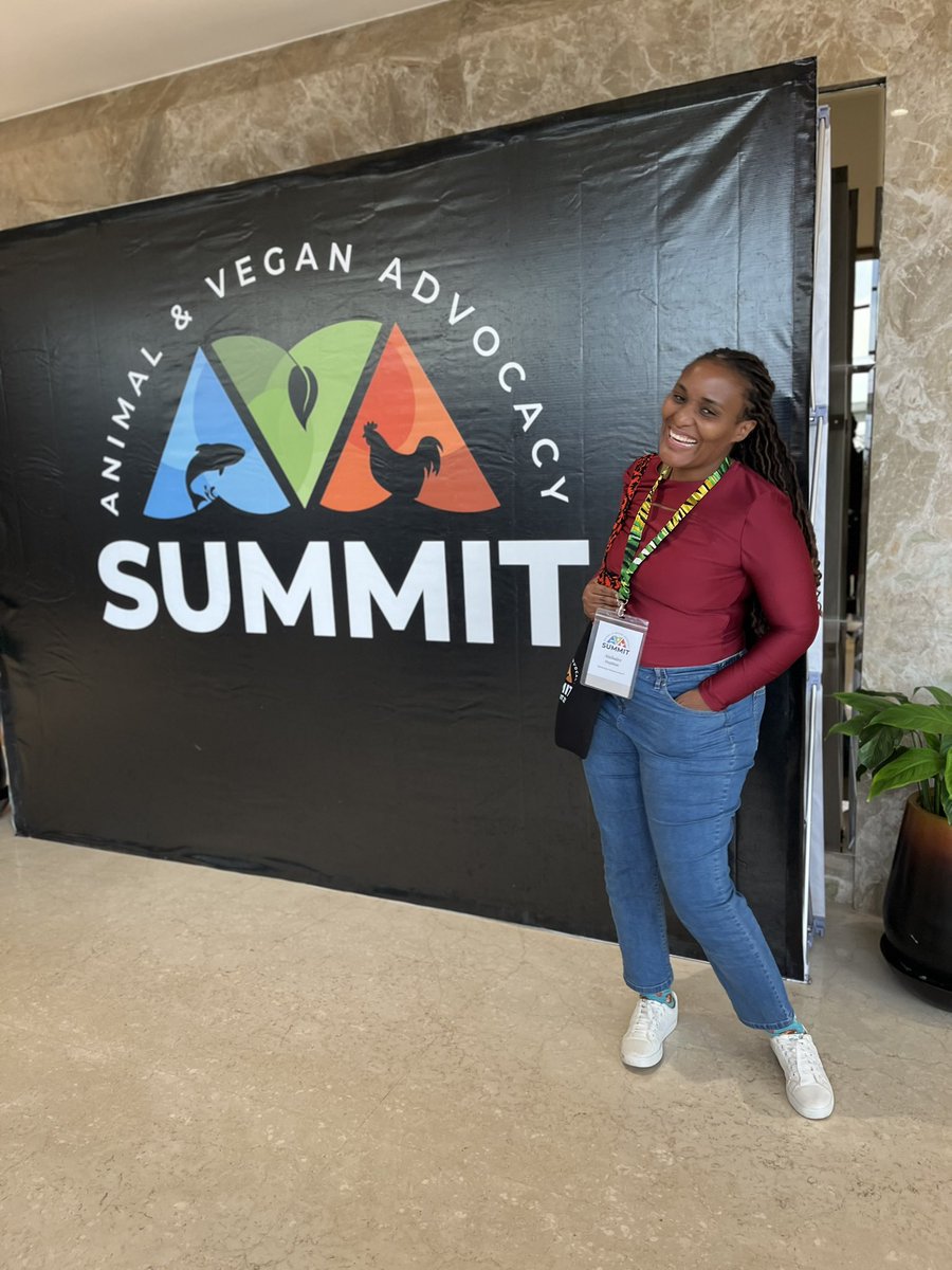 Attending the Ava Summit Africa day 2