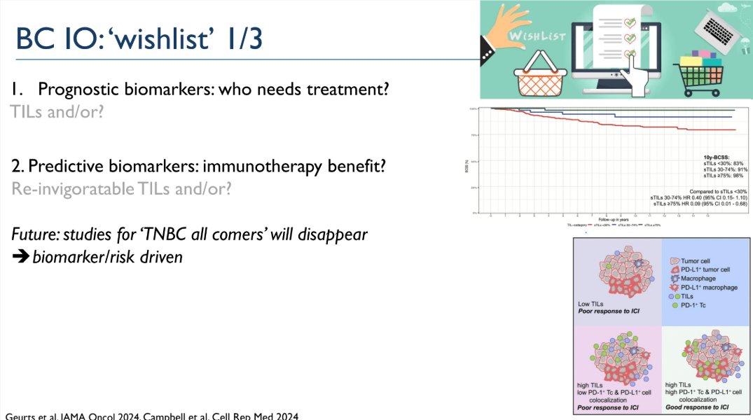 DFCI_BreastOnc's tweet photo. Dr. Marleen Kok (@lab_kok) delivered an excellent #HarvardBreastCancerCourse Schlager Lecture on #Immunotherapy in Early #BreastCancer.  The Schlager lectureship brings in world leading cancer investigators working in women's cancers. https://t.co/1Ka20zDdSH