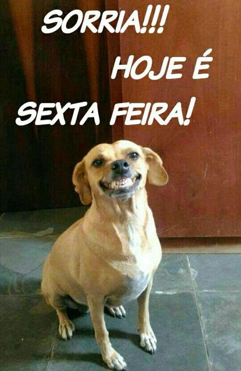 Bom dia