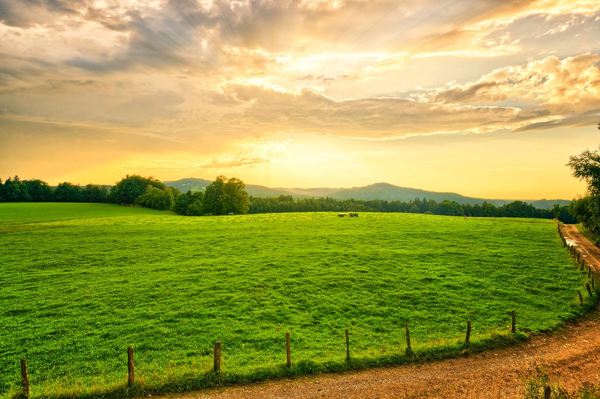 ZenfinityDesign's tweet image. GM GM GM ! Friday Vibes ! Get ready for a Glorious Weekend - Ask G-d what you can do for HIM today, and spread HIS Joy to others ! Make today the BEST Friday, Stay Safe and KNOW YOU ARE TRULY LOVED !
My heart is stirred by a noble theme
as I recite my verses for the king;
my…