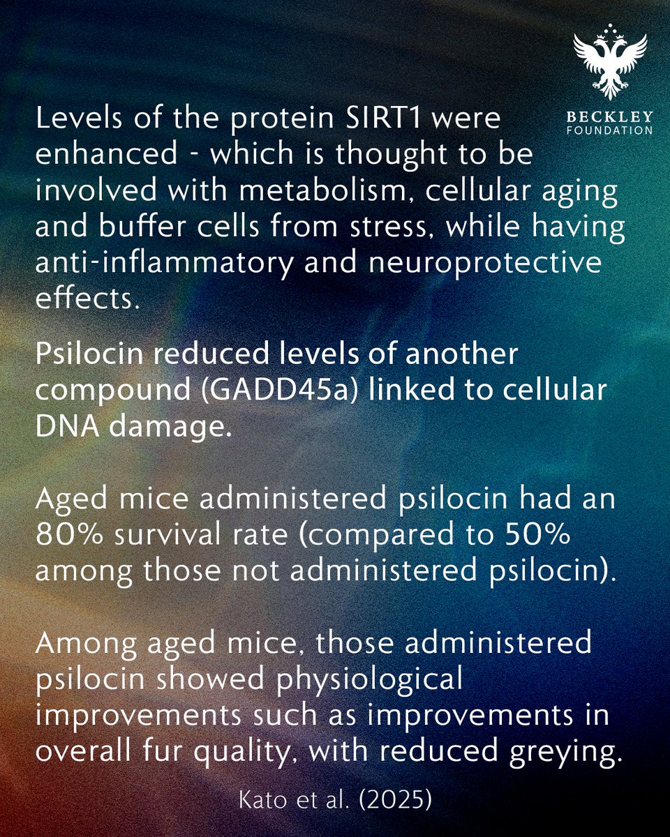 BeckleyResearch's tweet image. Psilocin and Ageing Research: findings from a just-published pre-clinical trial may have implications for the treatment of various age-related diseases.

Psilocybin treatment extends cellular lifespan and improves survival of aged mice - Kato et al., 2025
nature.com/articles/s4151…