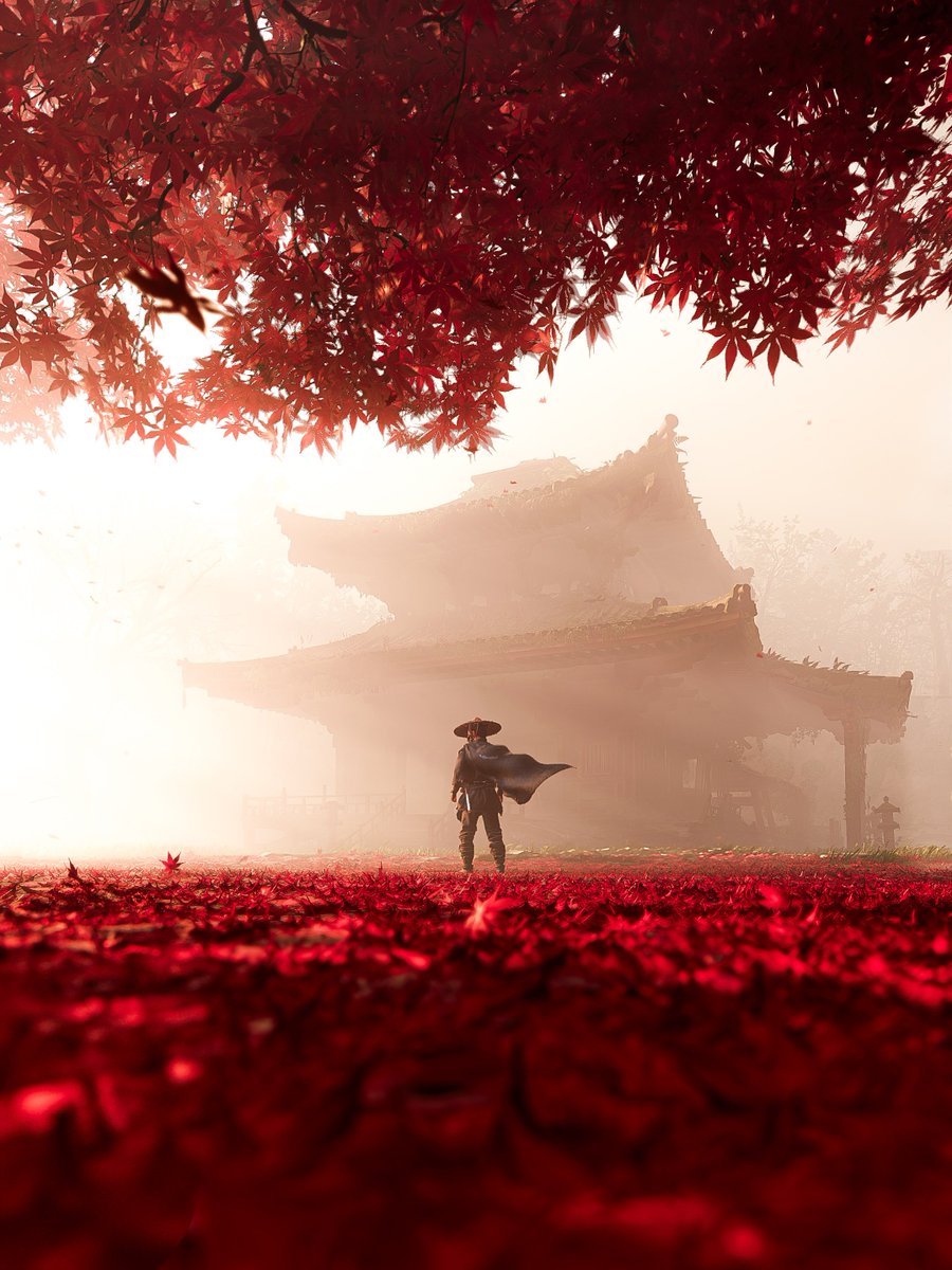 ___Critique___'s tweet image. 5 years of Ghost of tsushima 

#virtualphotograpy #GhostofYotei