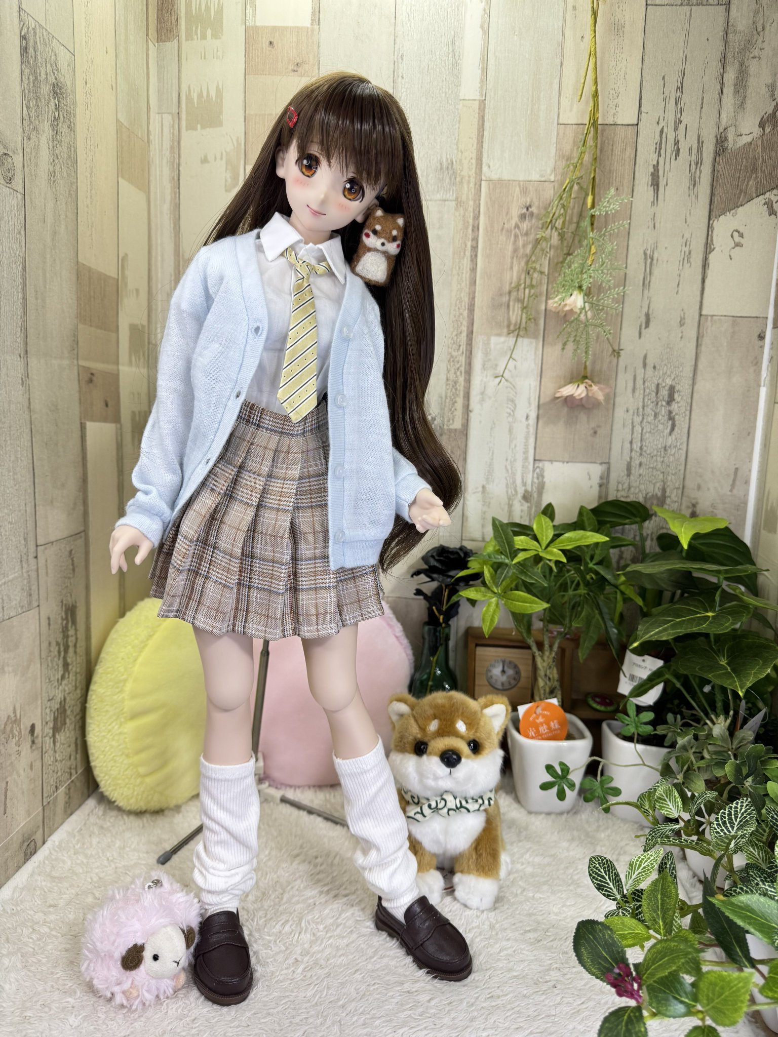 くまきち on X: 