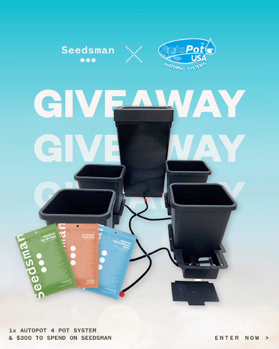 SeedsmanSeeds's tweet image. Giveaway ends this Sunday!
You could win:
✅ 1x AutoPot 4 Pot System
✅ $300 to spend at Seedsman
Don’t miss out 👉 f.mtr.cool/swacarwhgj
⚠️ US only