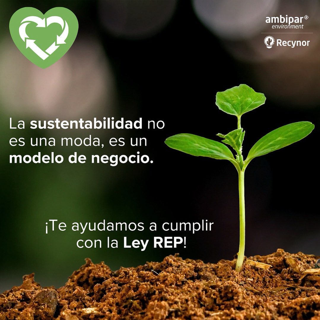 Cumplir con la Ley REP es avanzar hacia un futuro más sostenible.
Contáctanos y da el siguiente paso para que tu empresa sea más sostenible:
Mail: contacto@recynor.cl 
Teléfono: +56 9 3391 9109
#Arica #Iquique #LeyREP