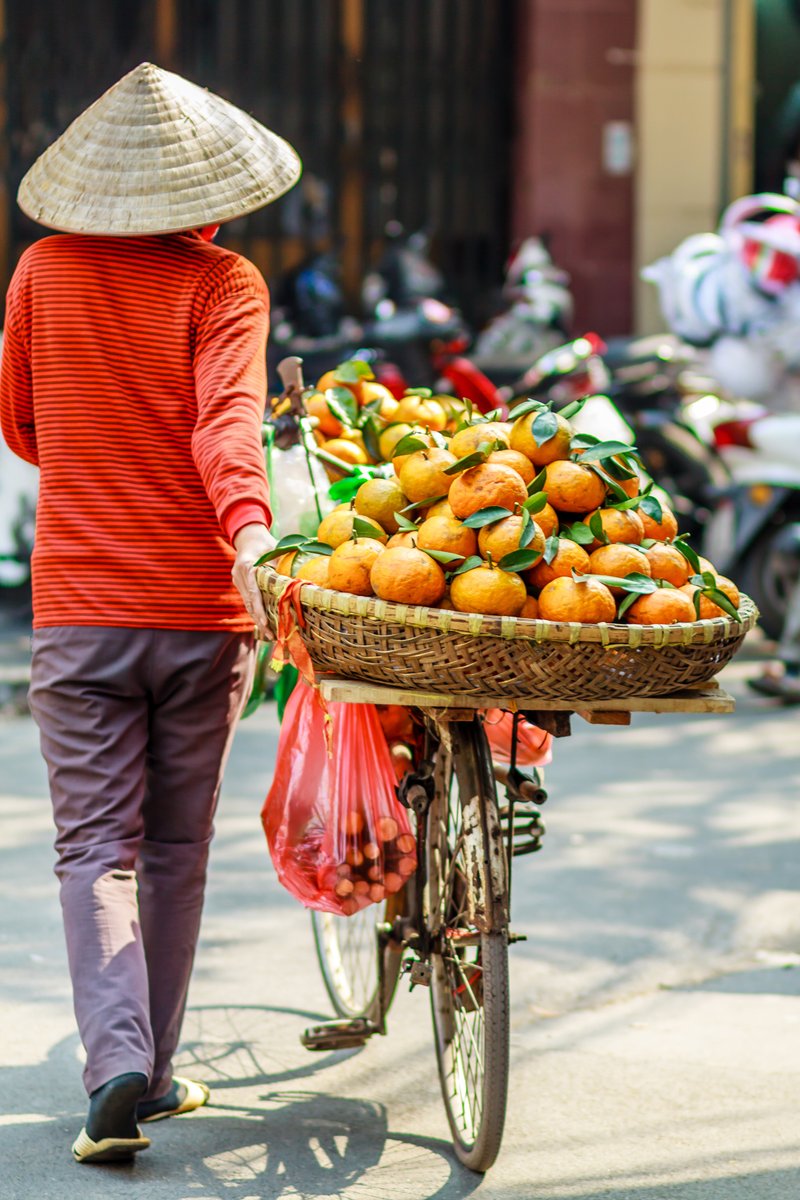 TexasExes's tweet image. Visit Cambodia and Vietnam with your fellow Longhorns! See the mystical ruins of Angkor Wat, colorful temples and monasteries along the Mekong, and bustling food markets. Experience this rich culture and natural beauty! → travel.texasexes.org/cruise-cambodi…