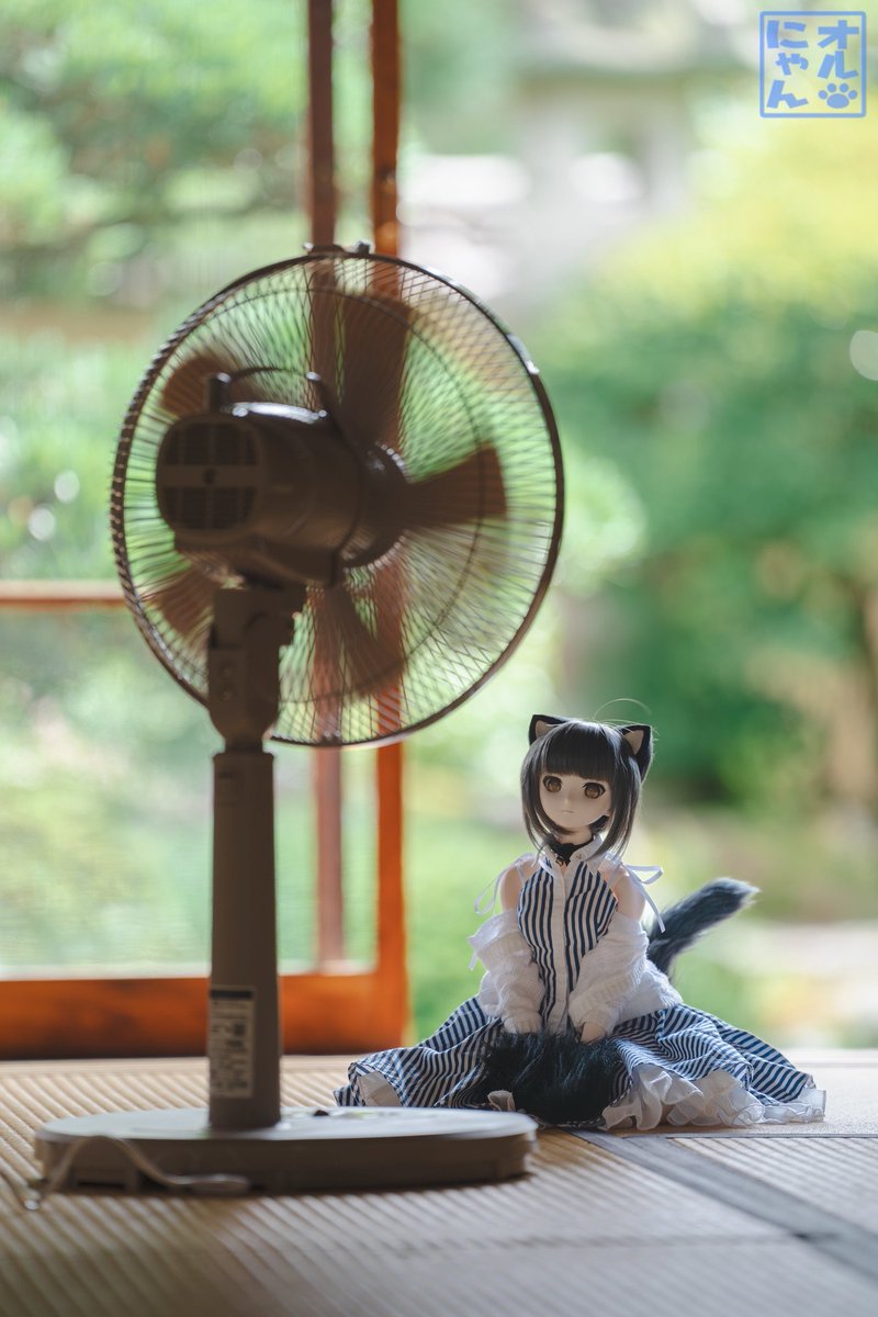 #画像だけで夏を感じさせる選手権