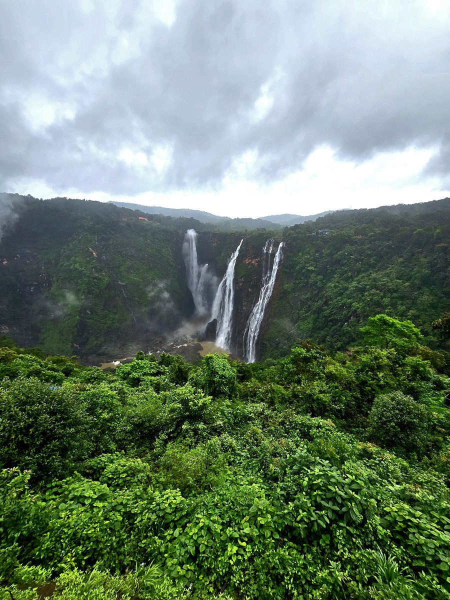shivgangal_ifs's tweet image. Geological forces are often credited for the grand and impressive natural wonders of the world. That's true. But it's the "forests" that add essence and value, especially in the case of numerous waterfalls across the world. Here's the "Jog Falls" from Karnataka: the 2nd highest…