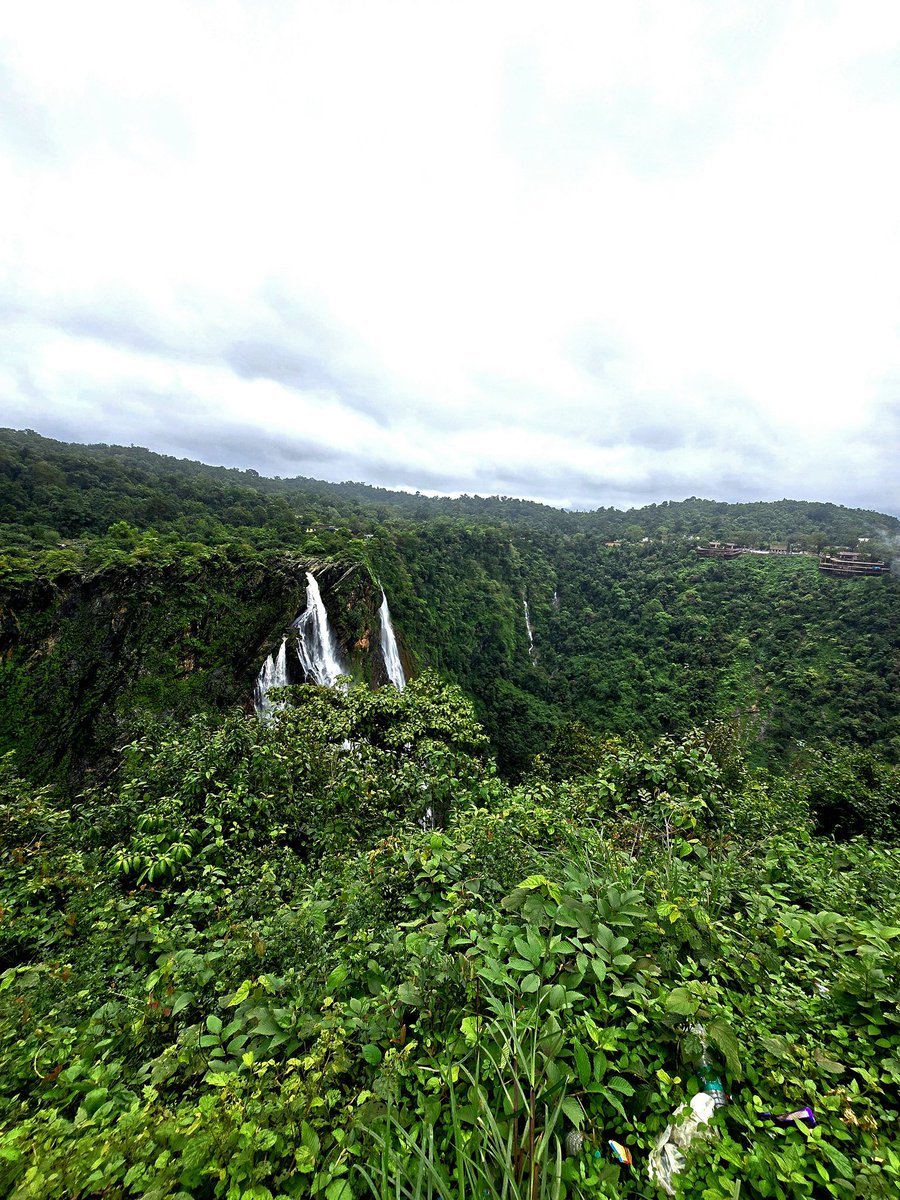 shivgangal_ifs's tweet image. Geological forces are often credited for the grand and impressive natural wonders of the world. That's true. But it's the "forests" that add essence and value, especially in the case of numerous waterfalls across the world. Here's the "Jog Falls" from Karnataka: the 2nd highest…