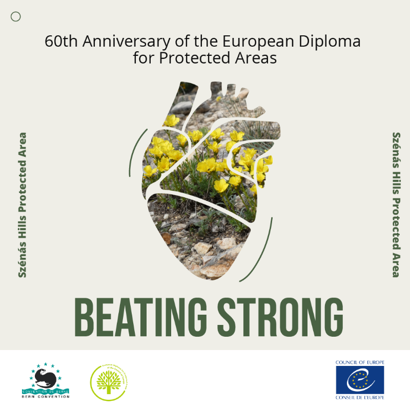 coe's tweet photo. Participatory democracy and nature preservation are inextricably linked.
Explore the story of the Szénás Hills Protected Area, holding the European Diploma for Protected Areas since 1995.
United around our values, with nature at heart. #BeatingStrong. 👇