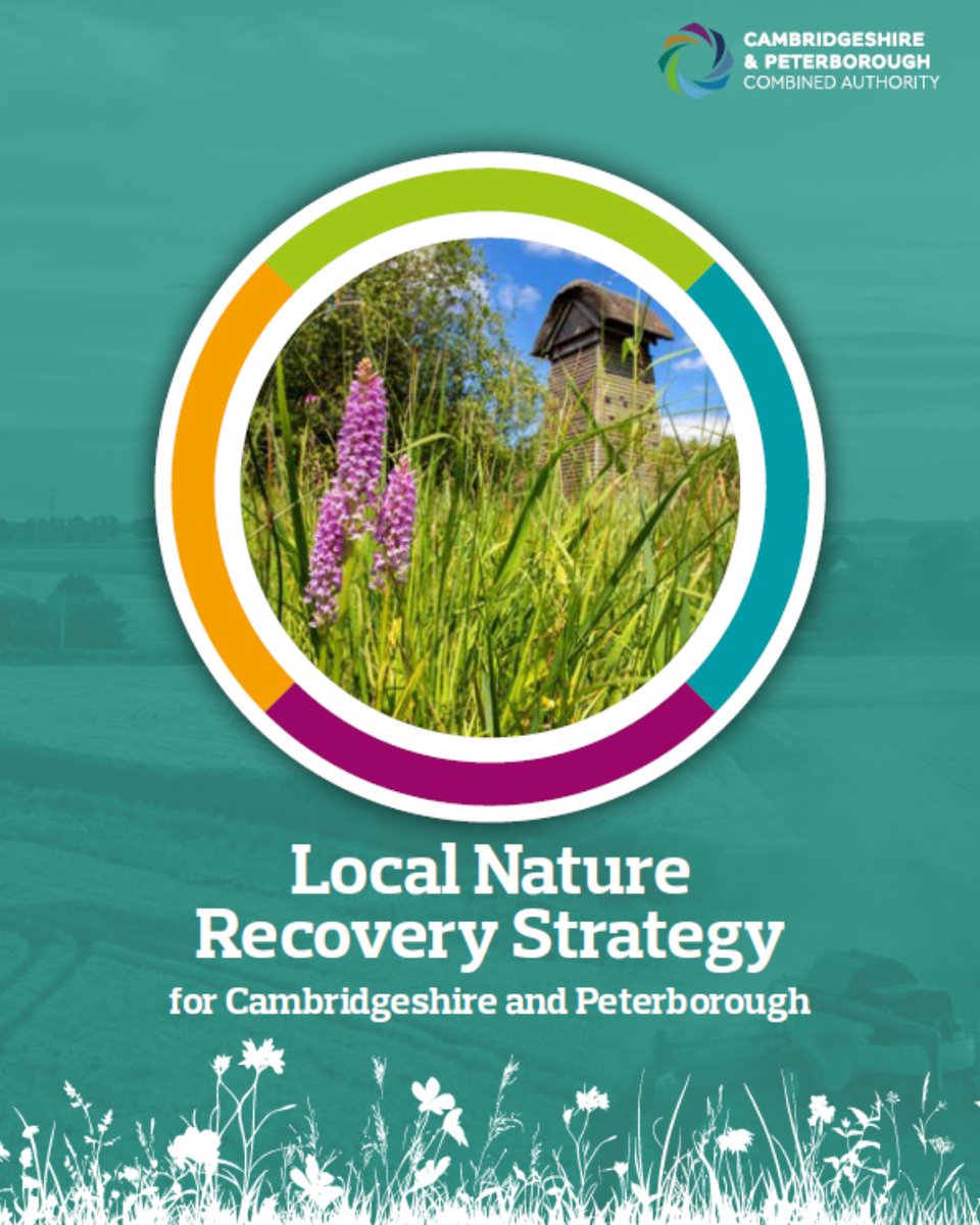 huntsdc's tweet image. The public consultation for the Cambridgeshire and Peterborough Local Nature Recovery Strategy is now live! 

Share your views and be part of the change. 👉 orlo.uk/E48P1

Need the survey in another format? Email LocalNatureRecoveryStrategy@Cambridgeshire.gov.uk