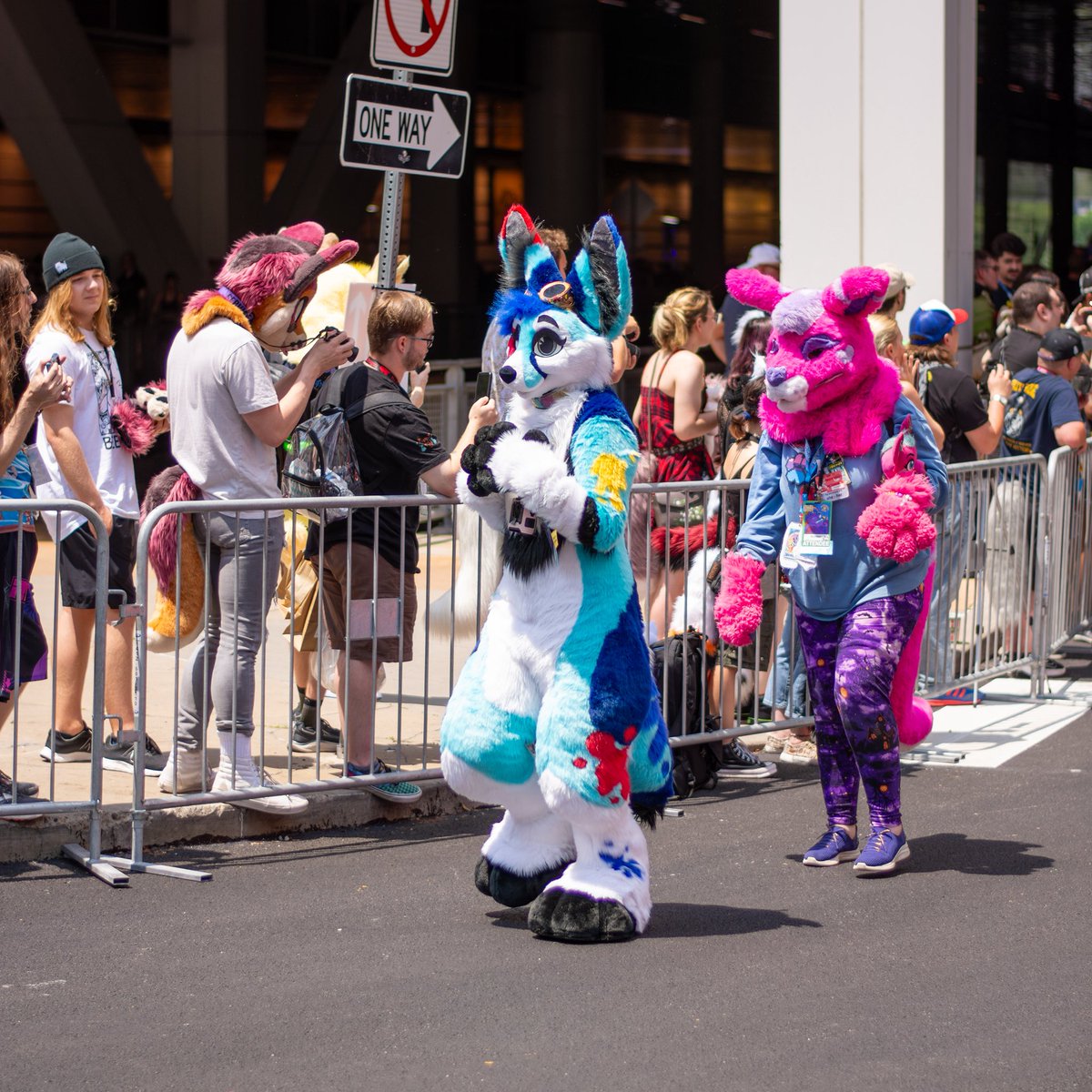 Fur soup Friday 
Parade pics!

📸<a href="/yukonbarksalot/">Yukon 🐺 Arvo 🦊</a>